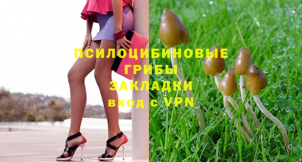 mix Белокуриха
